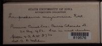 Image Associated With the Occurence